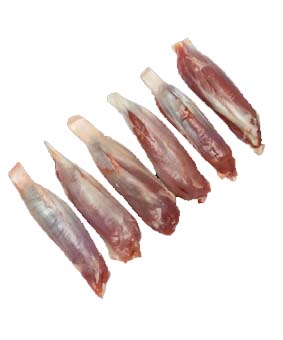 گل ماهیچه بره مزرعه فلامرز